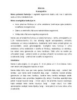 Konspekts 'Nieres', 1.