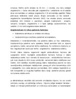 Konspekts 'Nieres', 7.