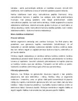 Konspekts 'Nieres', 8.