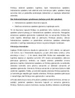 Konspekts 'Nieres', 9.