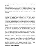 Konspekts 'Nieres', 11.