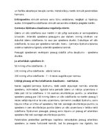 Konspekts 'Nieres', 15.