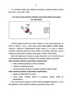 Diplomdarbs 'Bērnu pašapkalpošanās prasmes - svarīgs socializācijas priekšnosacījums vecākajā', 41.