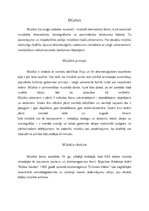 Konspekts 'Mūzikla nozīme Latvijā un pasaulē', 1.