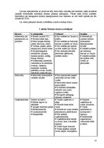 Referāts 'Jauna tūrisma produkta izveide Strenču novadā', 20.