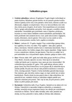 Konspekts 'Subkultūru grupas', 1.