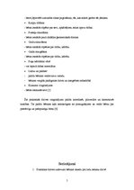 Referāts 'Praktiskās dzīves uzdevumi, to nozīme bērna personības attīstībā', 5.