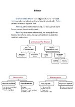 Konspekts 'Bilance', 1.