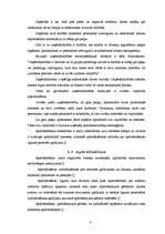 Referāts 'AAS "Balta" iekšējā vide', 8.