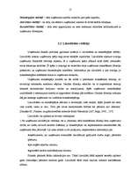 Referāts 'SIA "X" finanšu analīze', 15.