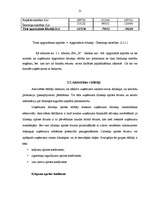 Referāts 'SIA "X" finanšu analīze', 21.