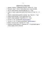 Referāts 'SIA "X" finanšu analīze', 31.