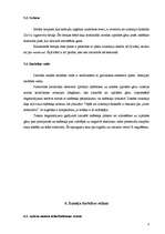 Referāts 'Dzinējs, centrālā iesmidzināšanas sistēma', 8.