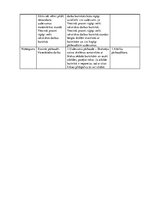 Konspekts 'Matemātikas konspekts 2.klasei', 2.