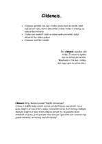 Konspekts 'Estētiskās vērtības', 4.