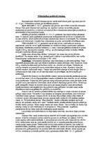 Referāts 'Politikas zinātnes rašanās un attīstība no senajiem laikiem līdz renesansei', 15.