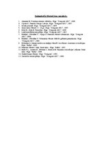 Referāts 'Politikas zinātnes rašanās un attīstība no senajiem laikiem līdz renesansei', 19.