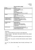 Diplomdarbs 'Eiropas Savienības Erasmus programma kā tolerances veicinātāja Latvijas un Franc', 66.