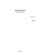 Referāts 'Kolagēnās šķiedras', 1.