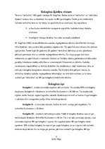 Referāts 'Kolagēnās šķiedras', 4.