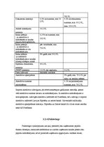 Referāts 'Skaidras un bezskaidras naudas norēķini uzņēmumā', 22.