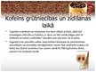 Prezentācija 'Kofeīns - draugs vai ienaidnieks', 19.