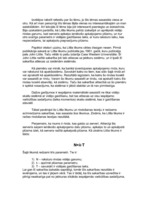 Referāts 'Littla likums', 2.