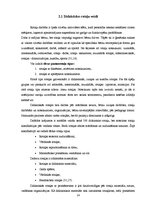 Referāts 'Didaktiskās rotaļas 5-6 gadus vecu bērnu matemātisko priekšstatu veidošanā', 10.