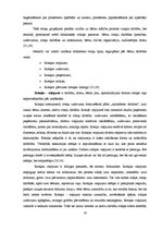 Referāts 'Didaktiskās rotaļas 5-6 gadus vecu bērnu matemātisko priekšstatu veidošanā', 12.