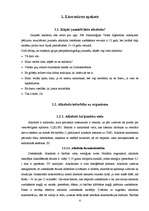 Referāts 'Alkohola izplatība jauniešu vidū', 4.