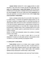 Referāts 'Autisms', 15.