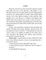 Referāts 'Hidrauliskā instrumentu “Halmatro” šķēru veidi, tehniskie rādītāji, pielietojums', 3.