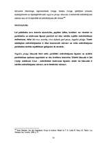 Diplomdarbs 'Ķīla kā saistību izpildes nodrošinājuma veids starptautiskajos privāttiesību dar', 30.