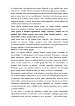 Referāts 'Mazās grupas psiholoģija', 2.