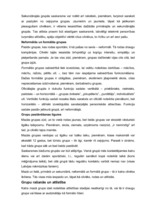 Referāts 'Mazās grupas psiholoģija', 3.