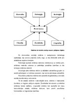 Diplomdarbs 'Reklāmas teksts un ekstralingvistiskie faktori', 8.