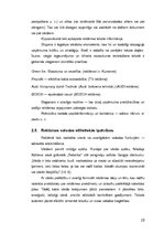 Diplomdarbs 'Reklāmas teksts un ekstralingvistiskie faktori', 20.