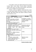 Diplomdarbs 'Reklāmas teksts un ekstralingvistiskie faktori', 22.