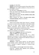 Diplomdarbs 'Reklāmas teksts un ekstralingvistiskie faktori', 26.