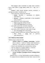 Diplomdarbs 'Reklāmas teksts un ekstralingvistiskie faktori', 28.