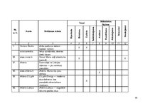 Diplomdarbs 'Reklāmas teksts un ekstralingvistiskie faktori', 48.