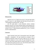 Referāts 'Japānas tirgus', 6.