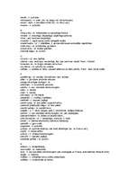 Konspekts 'Latviešu slenga vārdnīca', 4.