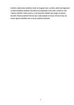 Referāts 'Tūrisma ietekme uz piekrastēm', 7.