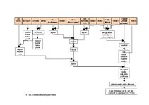 Referāts 'Ēdināšanas uzņēmuma tehnoloģiskā procesa norises dokumentu izstrāde', 19.