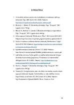 Referāts 'Montāžas darbi, to nozīme būvniecībā', 24.