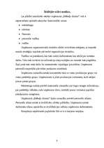 Referāts 'Stratēģiskais plāns uzņēmumam', 9.