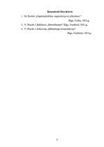 Referāts 'Stratēģiskais plāns uzņēmumam', 13.