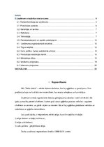 Biznesa plāns 'Šūšanas darbnīca', 3.