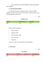 Biznesa plāns 'Šūšanas darbnīca', 6.